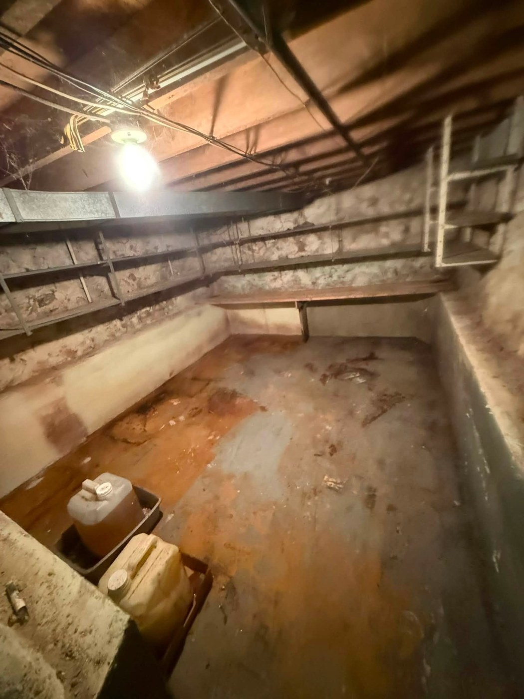 Basement after junk removal with cleared floor space