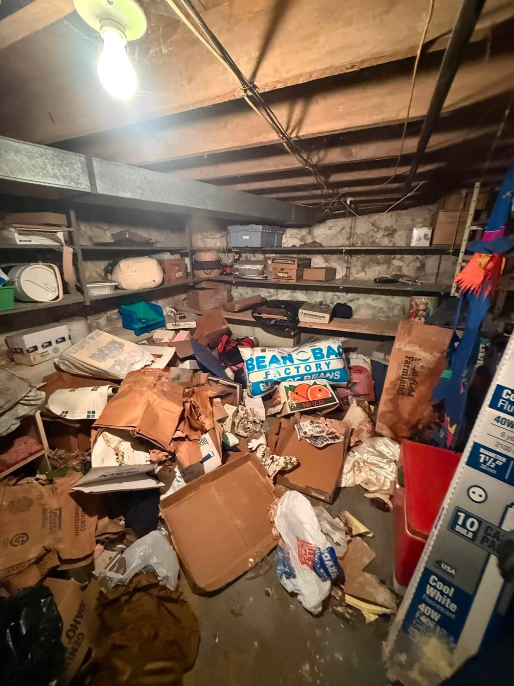 Basement filled with unwanted items before removal